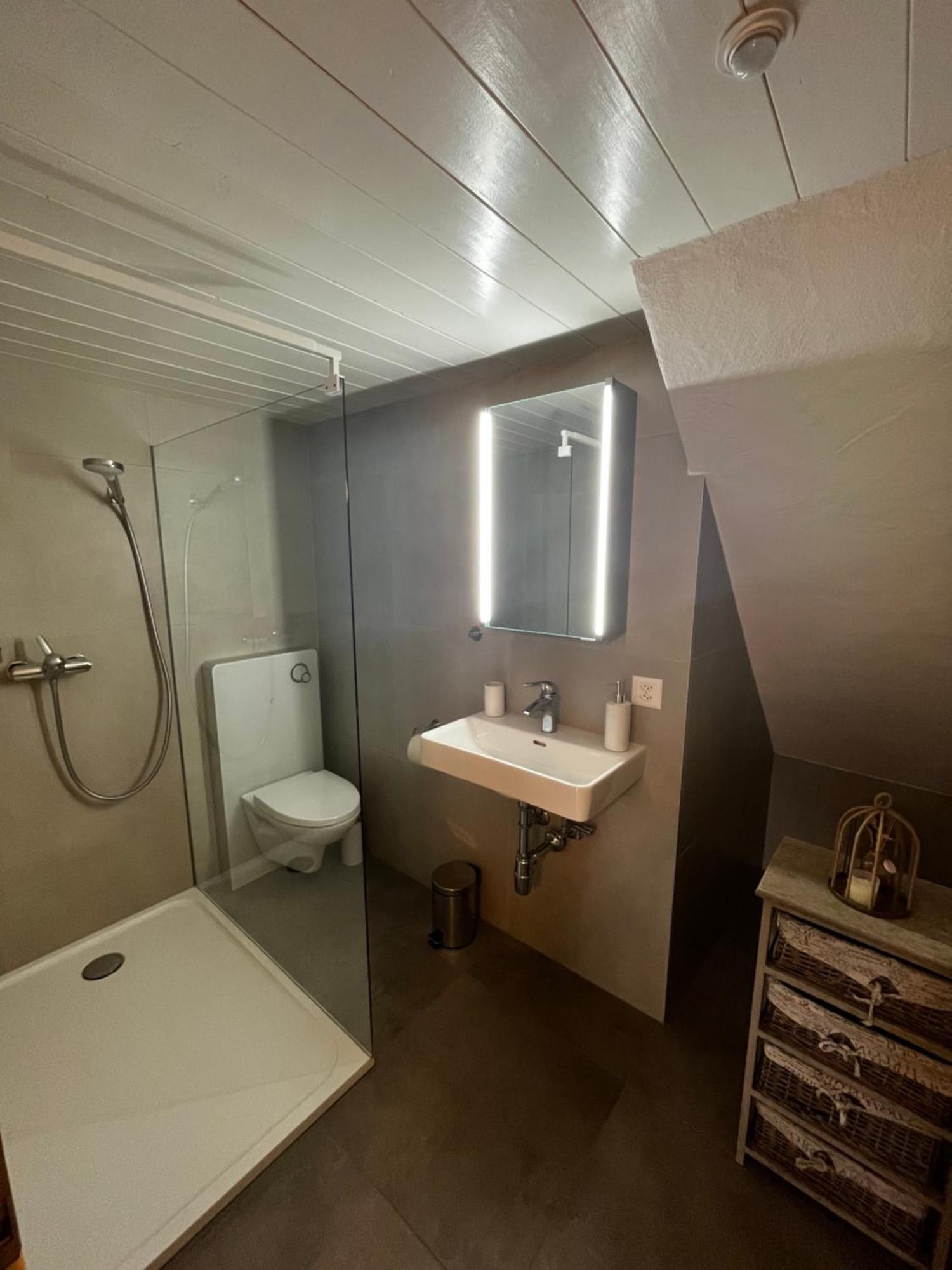 Raccard Renove Hotel Orsières Eksteriør billede